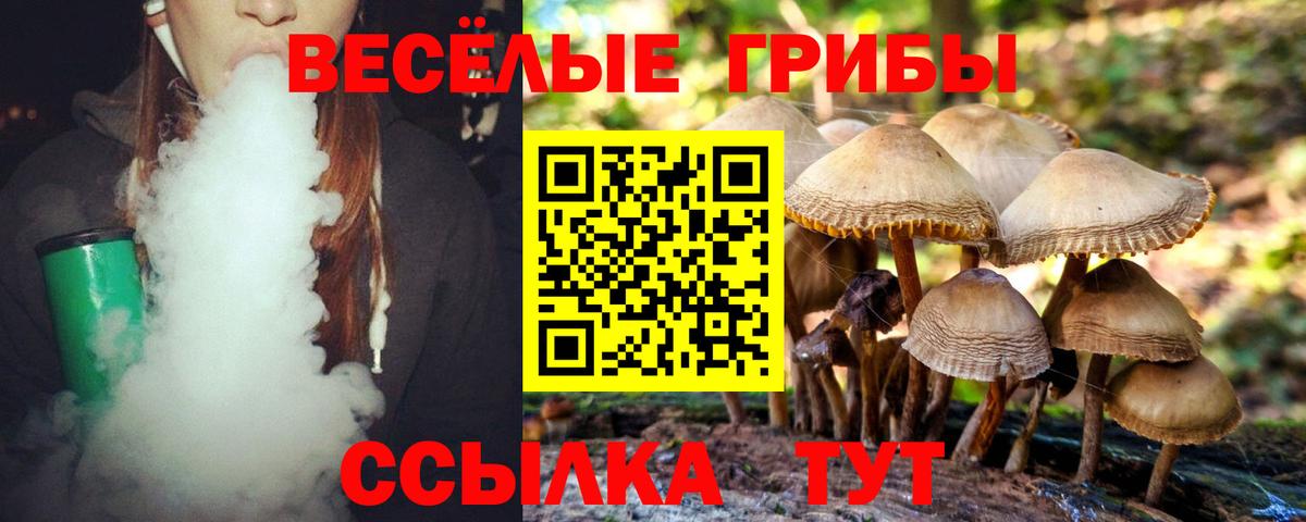 Георгиевск  Галлюциногенные грибы Psilocybe  Галлюциногенные грибы Magic Shrooms  Вход с VPN 